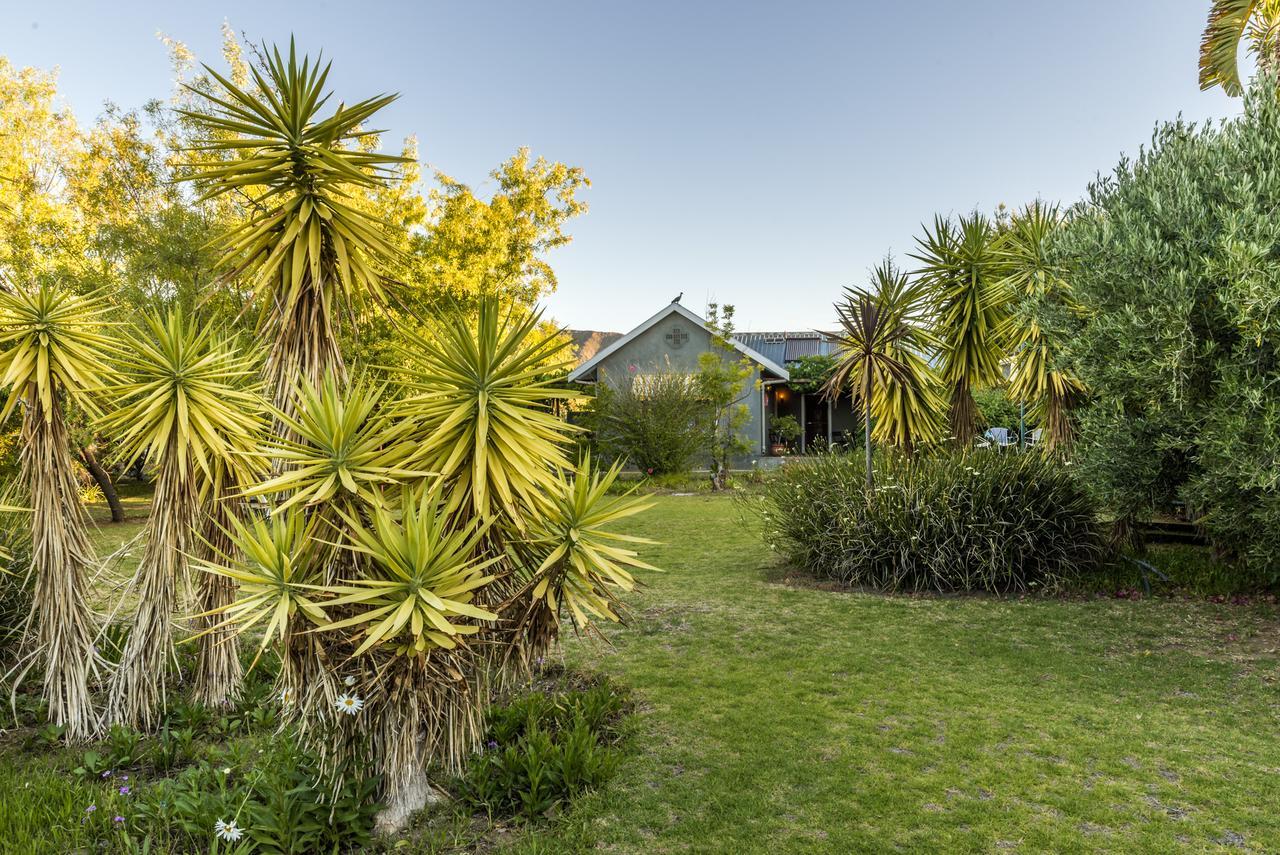 Karoo Lodge Prince Albert Kültér fotó